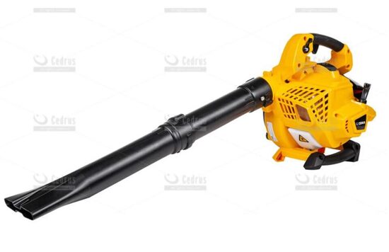 Pūtējs / putekļsūcējs Cedrus DM03 2IN1